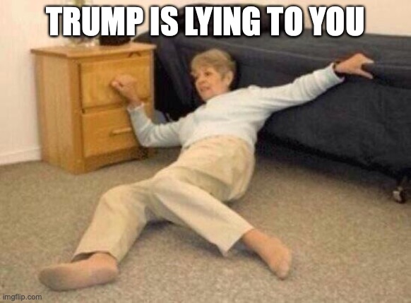 woman falling in shock | TRUMP IS LYING TO YOU | image tagged in woman falling in shock | made w/ Imgflip meme maker