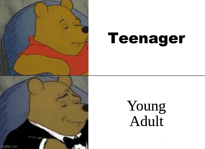 hey | Teenager; Young Adult | image tagged in memes,tuxedo winnie the pooh | made w/ Imgflip meme maker