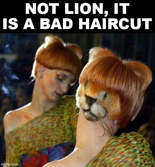 NOT LION, IT IS A BAD HAIRCUT | image tagged in eye roll | made w/ Imgflip meme maker