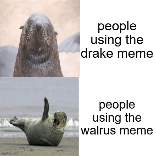 drake vs walrus | people using the drake meme; people using the walrus meme | image tagged in walrus,drake | made w/ Imgflip meme maker