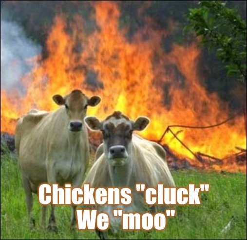 Evil Cows Meme | Chickens "cluck"
 We "moo" | image tagged in memes,evil cows | made w/ Imgflip meme maker