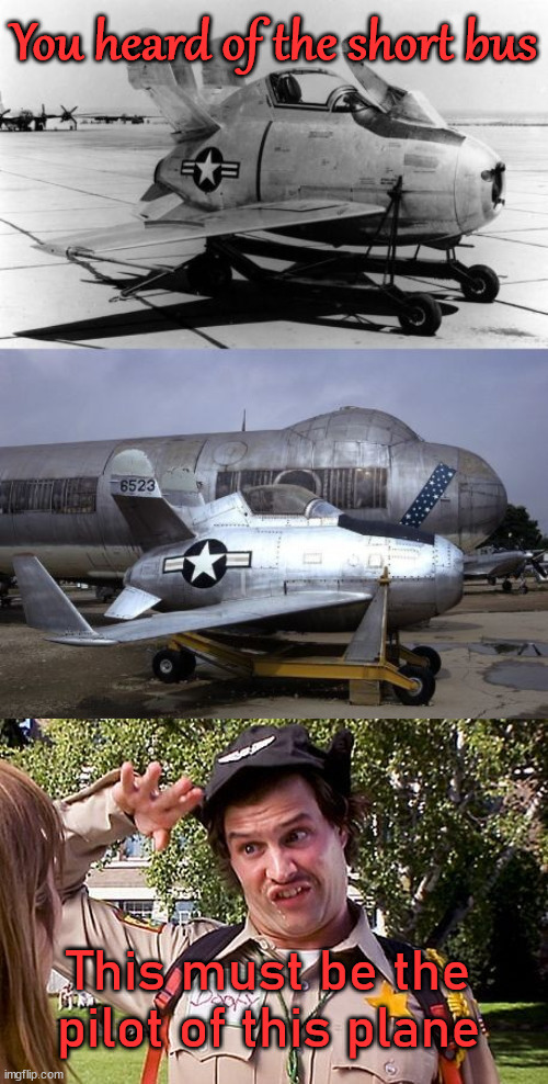 You heard of the short bus; This must be the pilot of this plane | image tagged in special officer doofy | made w/ Imgflip meme maker