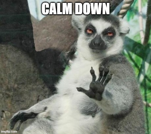 Stoner Lemur Meme | CALM DOWN | image tagged in memes,stoner lemur | made w/ Imgflip meme maker