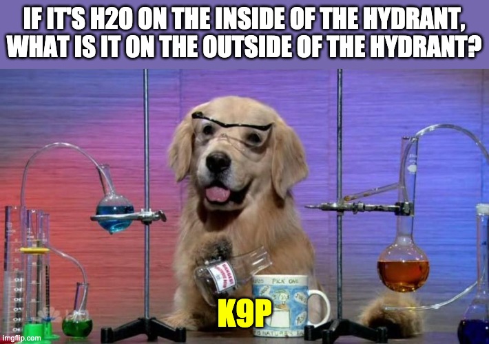 Canine chemistry | IF IT'S H2O ON THE INSIDE OF THE HYDRANT, WHAT IS IT ON THE OUTSIDE OF THE HYDRANT? K9P | image tagged in chemistry dog | made w/ Imgflip meme maker