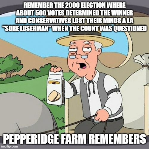 500 is not 8 million | REMEMBER THE 2000 ELECTION WHERE ABOUT 500 VOTES DETERMINED THE WINNER AND CONSERVATIVES LOST THEIR MINDS A LA "SORE LOSERMAN" WHEN THE COUNT WAS QUESTIONED; PEPPERIDGE FARM REMEMBERS | image tagged in memes,pepperidge farm remembers,election 2020,donald trump | made w/ Imgflip meme maker