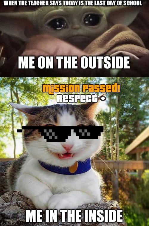 Smiling Cat | WHEN THE TEACHER SAYS TODAY IS THE LAST DAY OF SCHOOL; ME ON THE OUTSIDE; ME IN THE INSIDE | image tagged in smiling cat,misson passed,pog,baby yoda,summer vacation | made w/ Imgflip meme maker