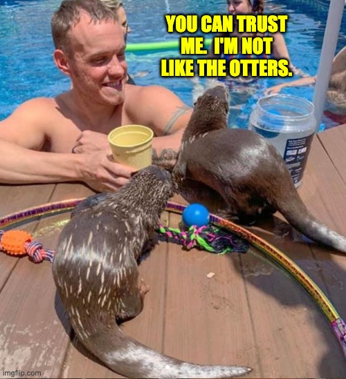 Otters | YOU CAN TRUST ME.  I'M NOT LIKE THE OTTERS. | image tagged in bad pun | made w/ Imgflip meme maker