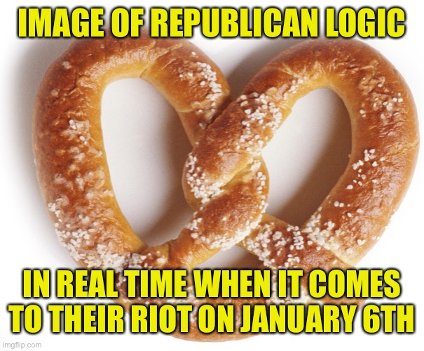 Yes I said their riot. They own it 100% Never forget! | IMAGE OF REPUBLICAN LOGIC; IN REAL TIME WHEN IT COMES TO THEIR RIOT ON JANUARY 6TH | image tagged in republicans suck,jan 6th riot,traitors | made w/ Imgflip meme maker