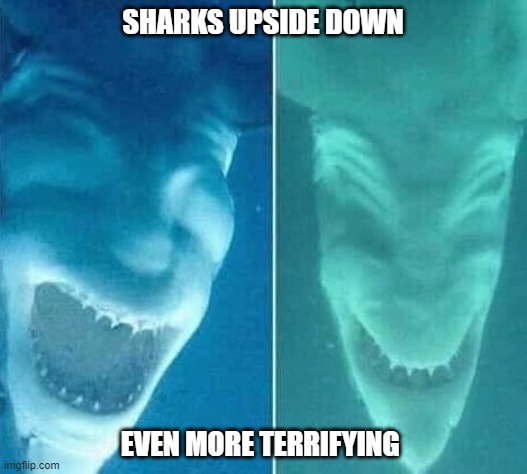 Sharks upside down | SHARKS UPSIDE DOWN; EVEN MORE TERRIFYING | image tagged in shark,devil | made w/ Imgflip meme maker