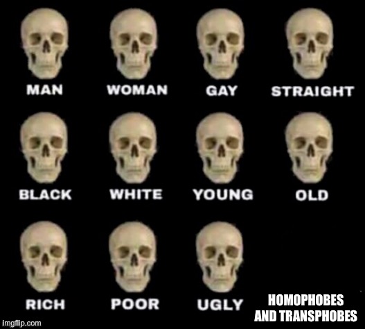 They have no skull | HOMOPHOBES AND TRANSPHOBES | image tagged in idiot skull,homophobe,transphobe,memes,homophobic,transphobic | made w/ Imgflip meme maker