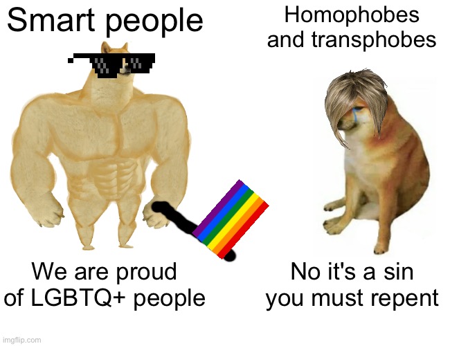 Buff Doge vs. Cheems | Smart people; Homophobes and transphobes; We are proud of LGBTQ+ people; No it's a sin you must repent | image tagged in memes,buff doge vs cheems,homophobic,transphobic,lgbtq,karen | made w/ Imgflip meme maker