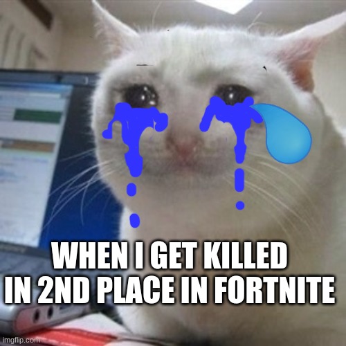 Crying cat | WHEN I GET KILLED IN 2ND PLACE IN FORTNITE | image tagged in crying cat | made w/ Imgflip meme maker