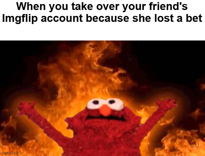 [Pervy Sage is not available at the moment] | When you take over your friend's Imgflip account because she lost a bet | image tagged in elmo fire | made w/ Imgflip meme maker