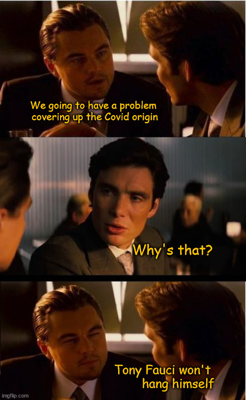 Problem with Covid origin cover up | We going to have a problem 
covering up the Covid origin; Why's that? Tony Fauci won't 
hang himself | image tagged in dicaprio - inception | made w/ Imgflip meme maker