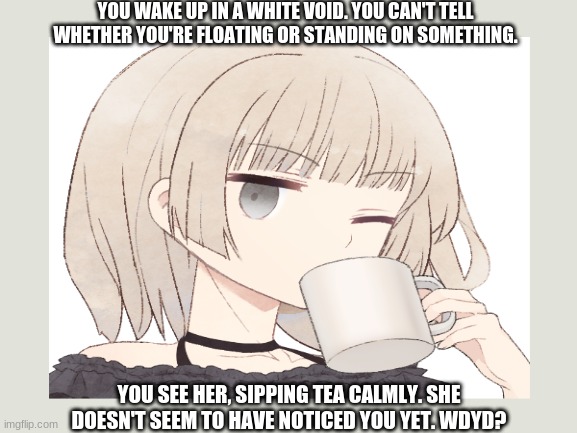 Kinda OP OCs allowed, but you can't kill the girl, no matter how hard you try. Do not kill the others either. | YOU WAKE UP IN A WHITE VOID. YOU CAN'T TELL WHETHER YOU'RE FLOATING OR STANDING ON SOMETHING. YOU SEE HER, SIPPING TEA CALMLY. SHE DOESN'T SEEM TO HAVE NOTICED YOU YET. WDYD? | image tagged in lmao,imma just leave this here,cassandra,high-pitched demonic screeching,oh wow are you actually reading these tags | made w/ Imgflip meme maker