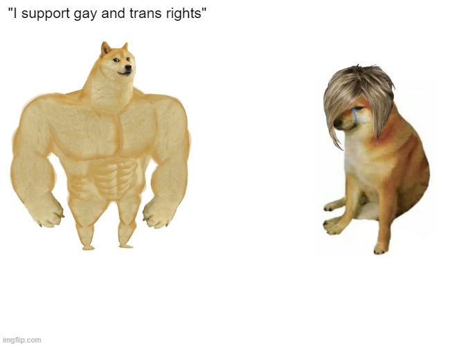 Buff Doge vs. Cheems | "I support gay and trans rights" | image tagged in memes,buff doge vs cheems | made w/ Imgflip meme maker