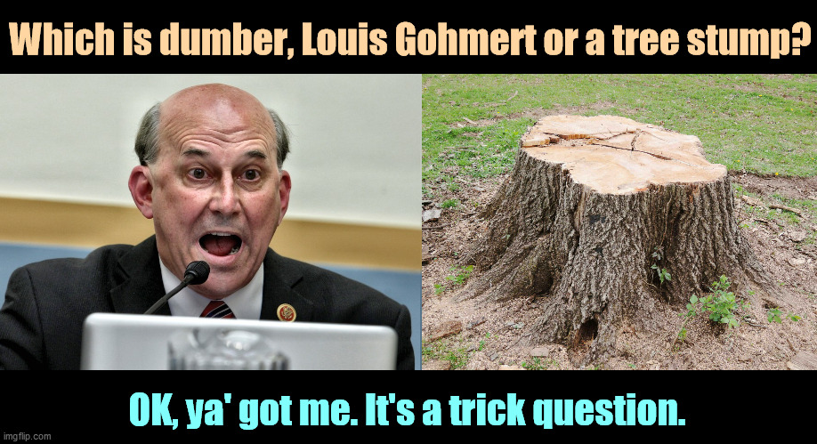 No prizes awarded. | Which is dumber, Louis Gohmert or a tree stump? OK, ya' got me. It's a trick question. | image tagged in louis gohmert the man without a brain,republican,congress,man,dumb,dumb and dumber | made w/ Imgflip meme maker