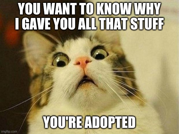 Scared Cat Meme | YOU WANT TO KNOW WHY I GAVE YOU ALL THAT STUFF; YOU'RE ADOPTED | image tagged in memes,scared cat | made w/ Imgflip meme maker
