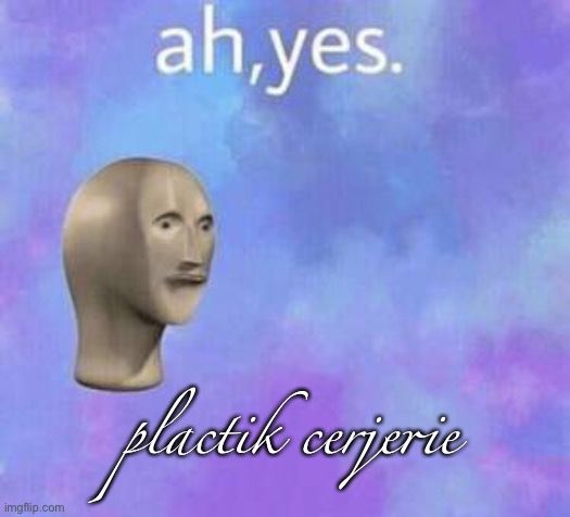 Ah yes | plactik cerjerie | image tagged in ah yes | made w/ Imgflip meme maker