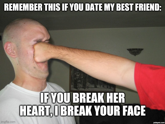 Dating my bestie | REMEMBER THIS IF YOU DATE MY BEST FRIEND:; IF YOU BREAK HER HEART, I BREAK YOUR FACE | image tagged in face punch | made w/ Imgflip meme maker