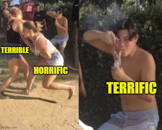 Terrible + Horrific = Terrific | TERRIBLE; HORRIFIC; TERRIFIC | image tagged in two girls fighting with guy in background | made w/ Imgflip meme maker