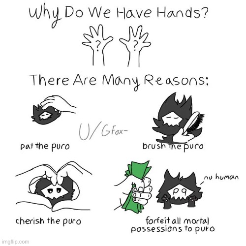 Why do we have hands | image tagged in puro,hands | made w/ Imgflip meme maker