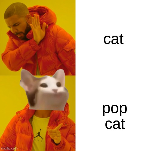 popcat brake cat vs cat .-. |  cat; pop cat | image tagged in memes,drake hotline bling,cats | made w/ Imgflip meme maker