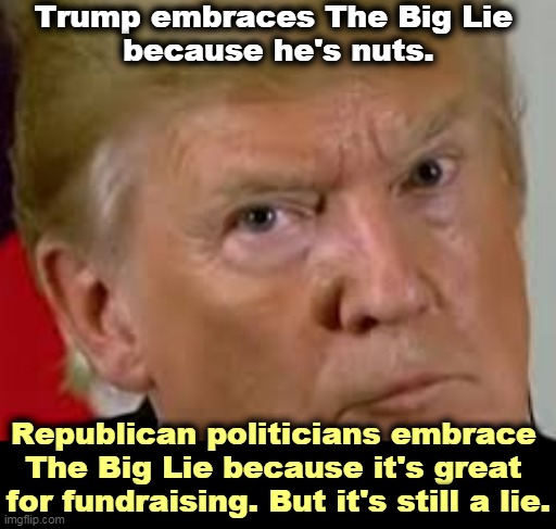 Trump can't win another election. A majority of Americans hate him. The only way he becomes President again is through a coup. | Trump embraces The Big Lie 
because he's nuts. Republican politicians embrace 
The Big Lie because it's great 
for fundraising. But it's still a lie. | image tagged in trump eyes dilated,trump,crazy,big,lie,loser | made w/ Imgflip meme maker