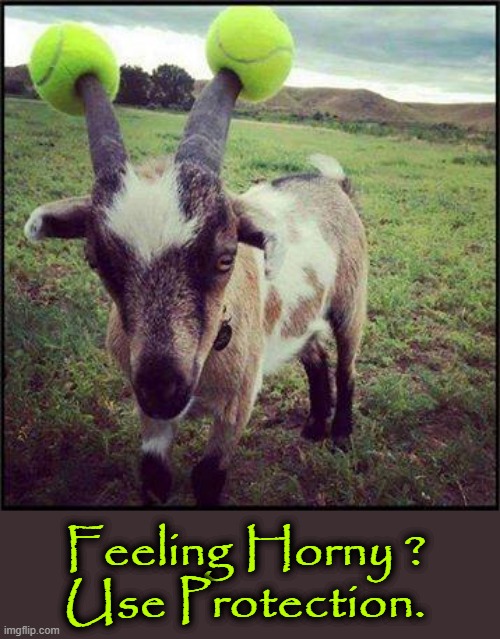 Feeling Horny ? | Feeling Horny ?
Use Protection. | image tagged in environmental protection agency | made w/ Imgflip meme maker