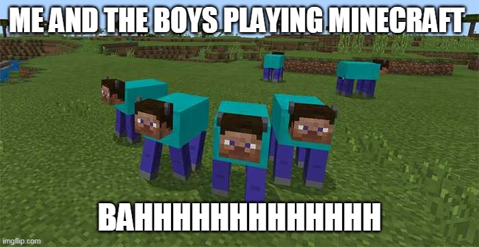 me and the boys | ME AND THE BOYS PLAYING MINECRAFT; BAHHHHHHHHHHHHH | image tagged in me and the boys | made w/ Imgflip meme maker