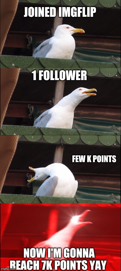 Celebrating silently | JOINED IMGFLIP; 1 FOLLOWER; FEW K POINTS; NOW I'M GONNA REACH 7K POINTS YAY | image tagged in memes,inhaling seagull | made w/ Imgflip meme maker