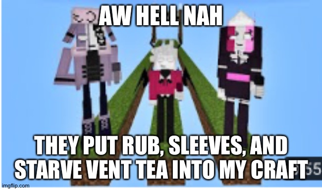 AW HELL NAH; THEY PUT RUB, SLEEVES, AND STARVE VENT TEA INTO MY CRAFT | made w/ Imgflip meme maker