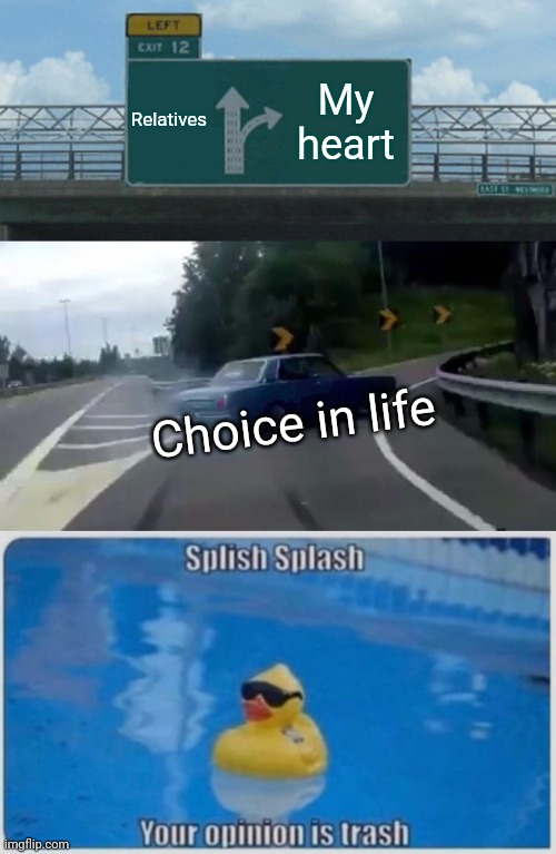 Lol I do follow my heart |  Relatives; My heart; Choice in life | image tagged in memes,left exit 12 off ramp,relatives | made w/ Imgflip meme maker