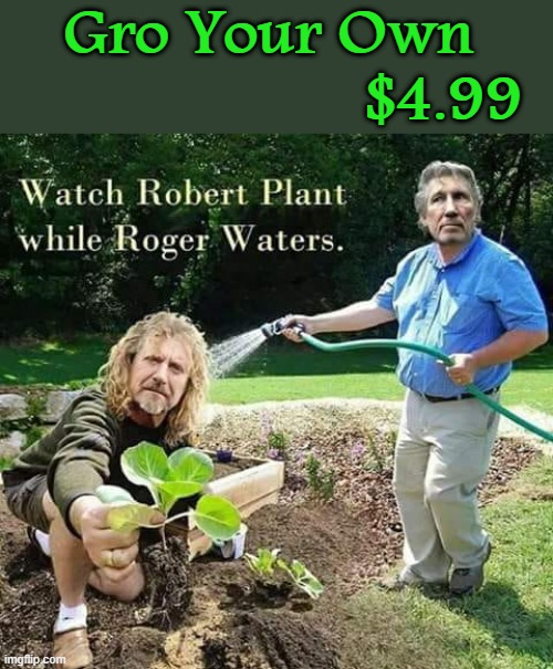Grow Tour Own   $4.99 | Gro Your Own    
$4.99 | image tagged in transplant | made w/ Imgflip meme maker