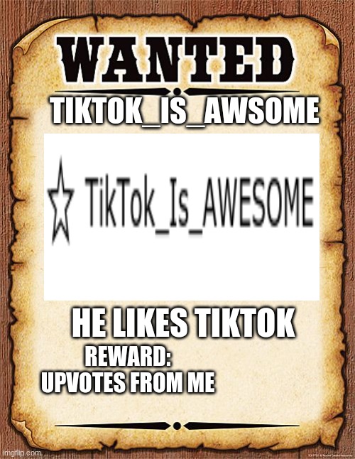 Block to turn in | TIKTOK_IS_AWSOME; HE LIKES TIKTOK; REWARD: UPVOTES FROM ME | image tagged in wanted poster | made w/ Imgflip meme maker