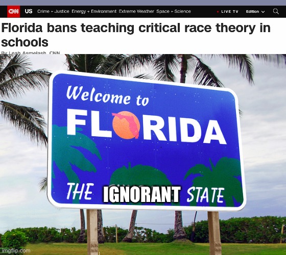 Florida | IGNORANT | image tagged in florida | made w/ Imgflip meme maker
