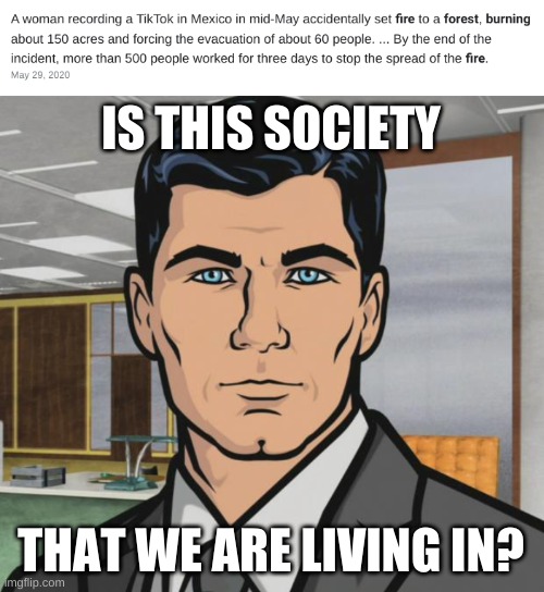 really? | IS THIS SOCIETY; THAT WE ARE LIVING IN? | image tagged in memes,archer,tik tok sucks | made w/ Imgflip meme maker