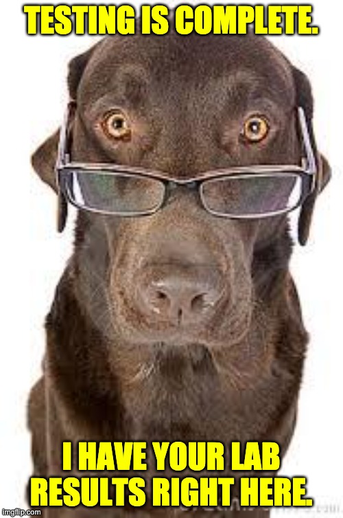 Image Tagged In Eye Roll Imgflip Image Tagged In Eye Roll Imgflip