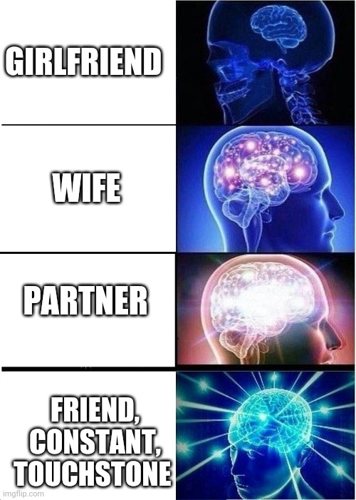 Mulder and Scully | GIRLFRIEND; WIFE; PARTNER; FRIEND, CONSTANT, TOUCHSTONE | image tagged in memes,expanding brain,x-files | made w/ Imgflip meme maker