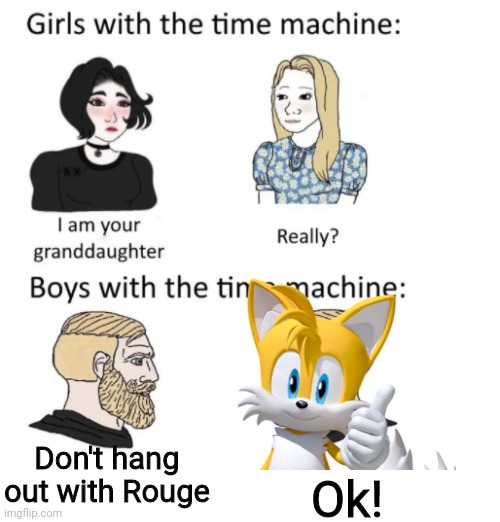 woman vs man time travel | Don't hang out with Rouge Ok! | image tagged in woman vs man time travel | made w/ Imgflip meme maker