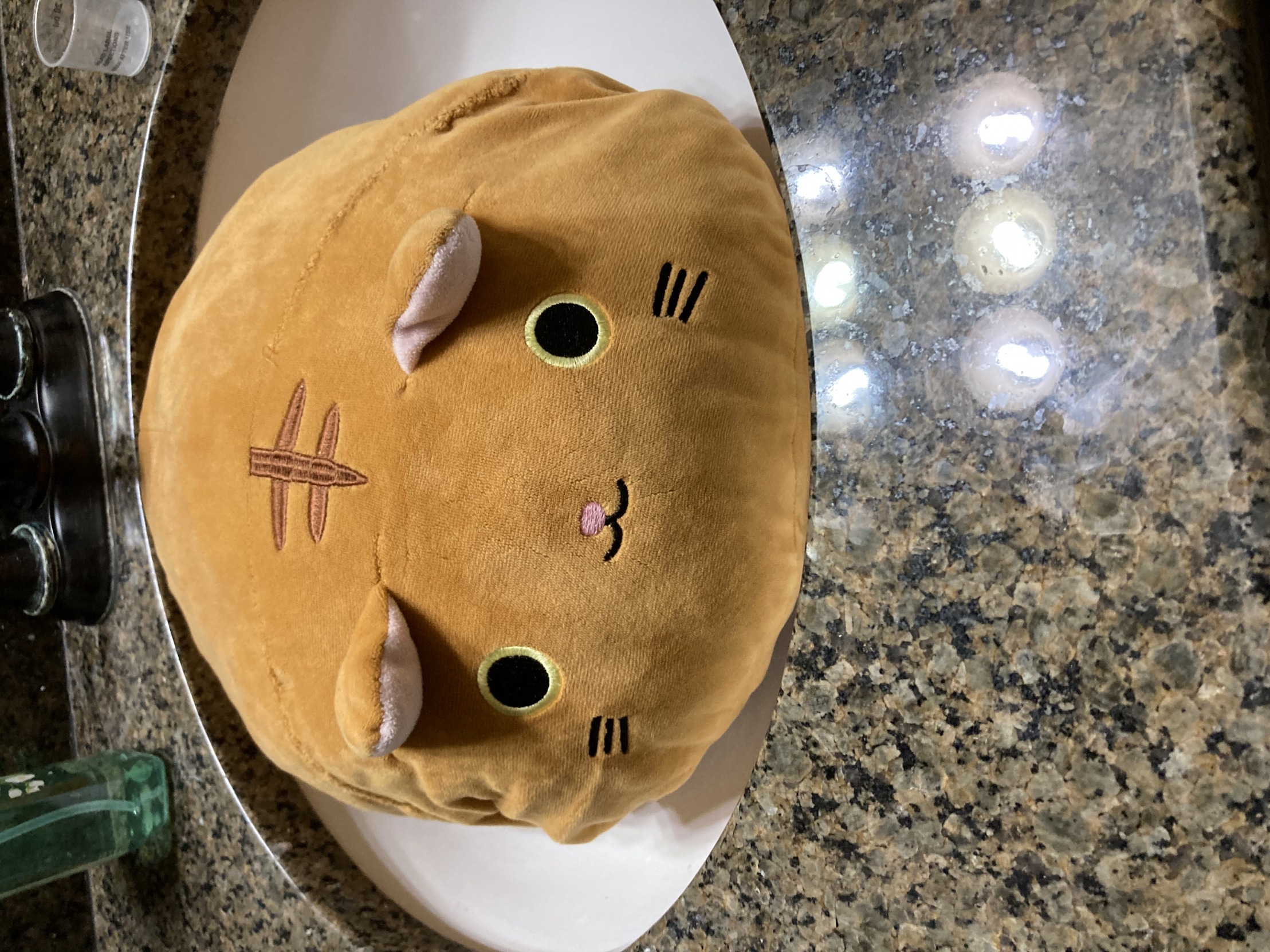 High Quality Sink Cat Blank Meme Template