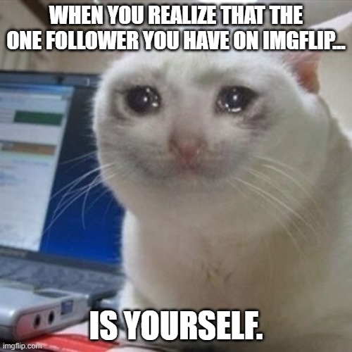 I noticed this a while ago... | WHEN YOU REALIZE THAT THE ONE FOLLOWER YOU HAVE ON IMGFLIP... IS YOURSELF. | image tagged in crying cat | made w/ Imgflip meme maker