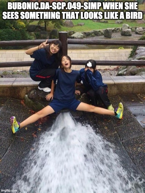 Excited Girls | BUBONIC.DA-SCP.049-SIMP WHEN SHE SEES SOMETHING THAT LOOKS LIKE A BIRD | image tagged in excited girls | made w/ Imgflip meme maker