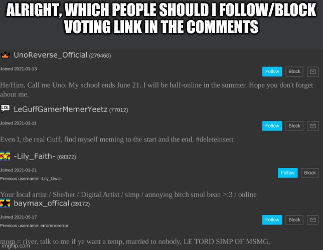 ALRIGHT, WHICH PEOPLE SHOULD I FOLLOW/BLOCK
VOTING LINK IN THE COMMENTS | made w/ Imgflip meme maker