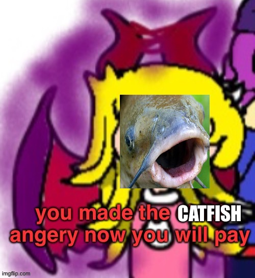 You Made The Child Angery Now You Will Pay | CATFISH | image tagged in you made the child angery now you will pay | made w/ Imgflip meme maker