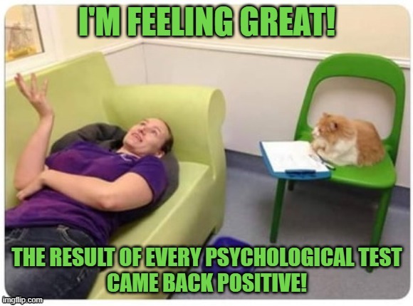 Are you feeling great? | image tagged in lolcat,psychology,psychiatrist,socmed | made w/ Imgflip meme maker