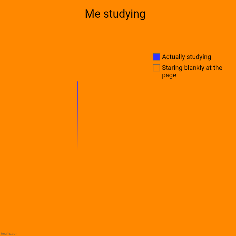 Me studying  | Staring blankly at the page , Actually studying | image tagged in charts,pie charts | made w/ Imgflip chart maker