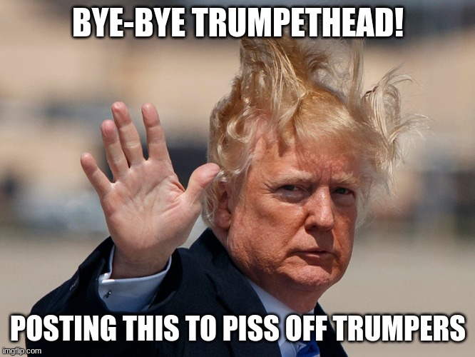 Bye-bye | BYE-BYE TRUMPETHEAD! POSTING THIS TO PISS OFF TRUMPERS | image tagged in bye bye trump | made w/ Imgflip meme maker