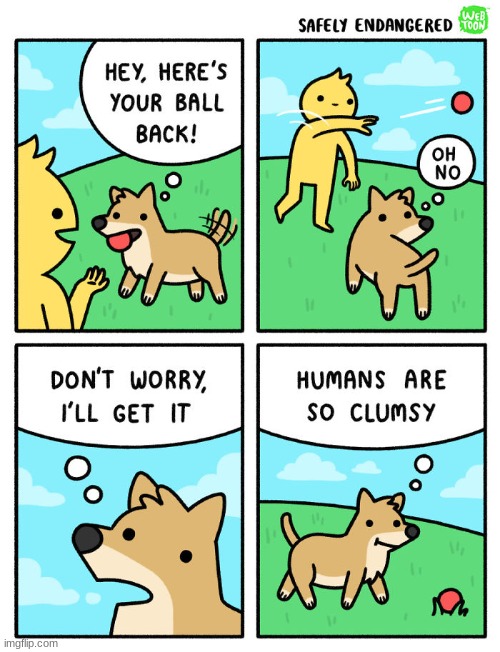 Humans are so clumsy | image tagged in comics/cartoons,dogs,clumsy,ball | made w/ Imgflip meme maker
