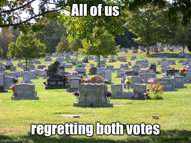 cemetery | All of us regretting both votes | image tagged in cemetery | made w/ Imgflip meme maker